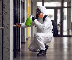 Why You Should Choose Our Mold Remediation Services in Minnetonka, MN